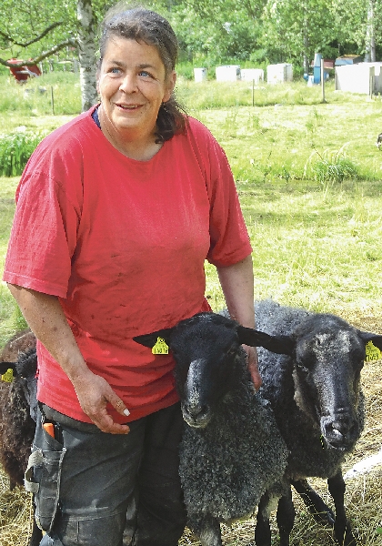 Helena Lundgren älskar sina får och det verkar vara ömsesidigt.