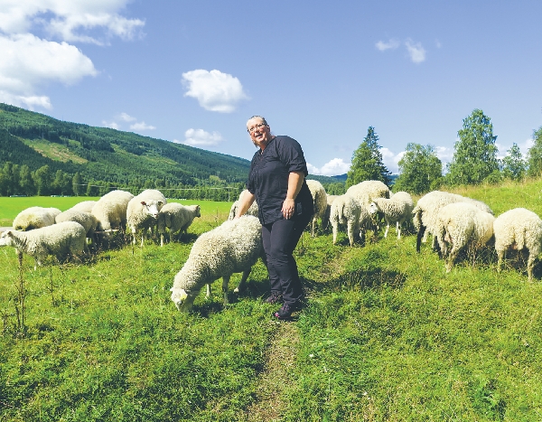 Ann-Sofie Sätherberg på Strandås tillsammans med några av sina får som hjälper till att få bort förbuskningen vid Klarälven.