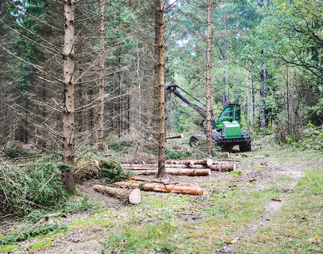 Genomsnittspriset för skogsmark i Sverige steg år 2015 till 389 kronor per skogskubikmeter enligt LRF Konsults statistik. Det är en ökning av riks genomsnittet med 4,8 procent jämfört med 2014. Bild: BO BÄCKMAN