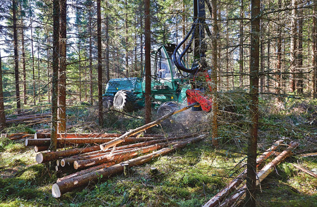 Södra skog som tidigare har infört markskoningsgaranti i slutavverkning utökar nu med en ny gallringstjänst med markskoningsgaranti. Bild: MATS SAMUELSSON